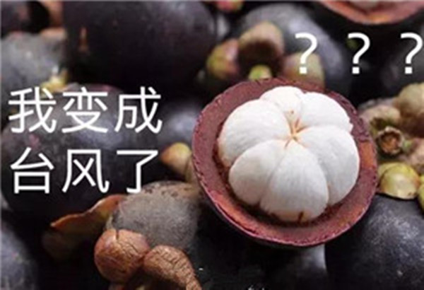 “山竹”還未走遠(yuǎn)，但貝朗全自動(dòng)彎線機(jī)已正常上班啦！