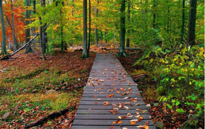 秋季飲食“三寶”是什么？貝朗線材彎線機(jī)小編告訴您